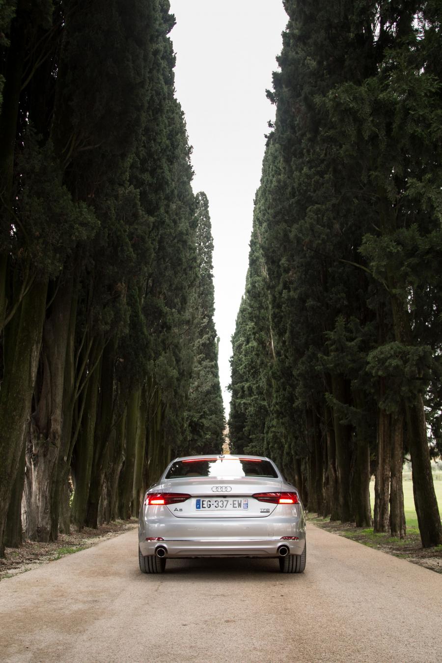  Audi A5 Coupe 2.0 TFSI Quattro 2016 года  (WW) (фото 13 из 30)